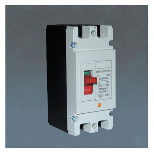 DC Moulded Case Circuit Breaker SM1-100 2P
